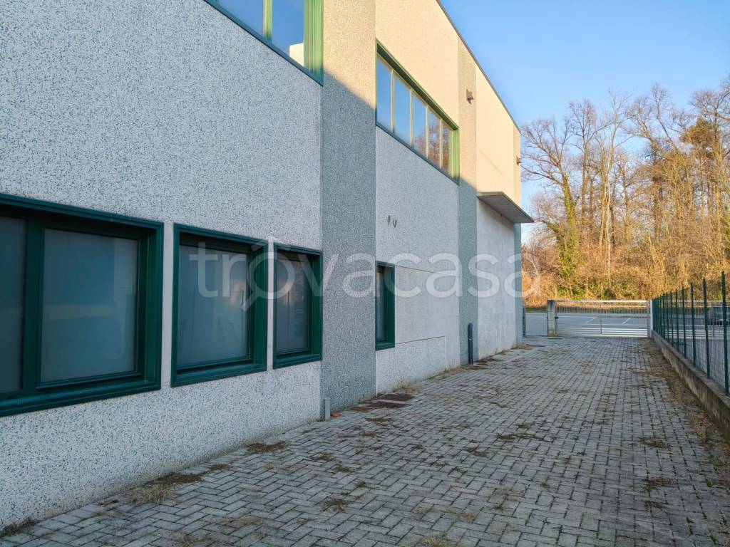 immagine annuncio 6 di 8