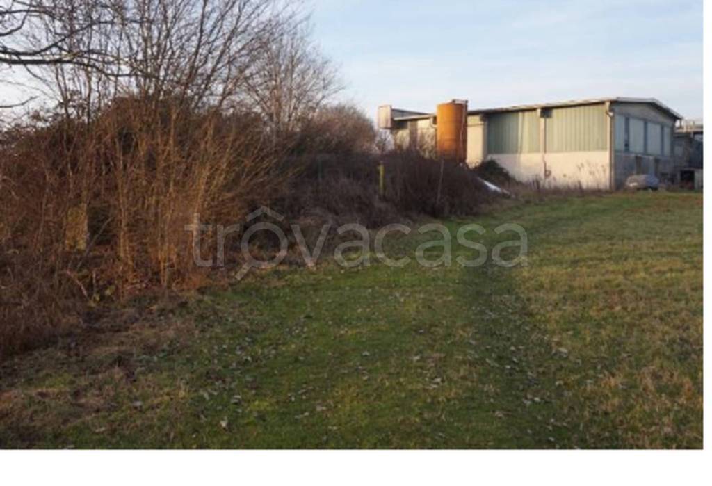 immagine annuncio 10 di 11