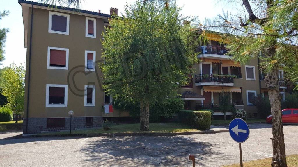 immagine annuncio 2 di 12