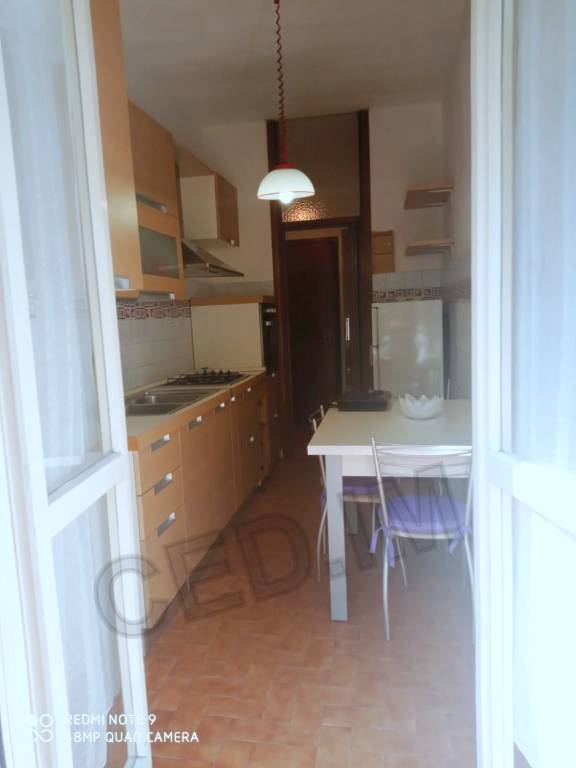 immagine annuncio 5 di 12