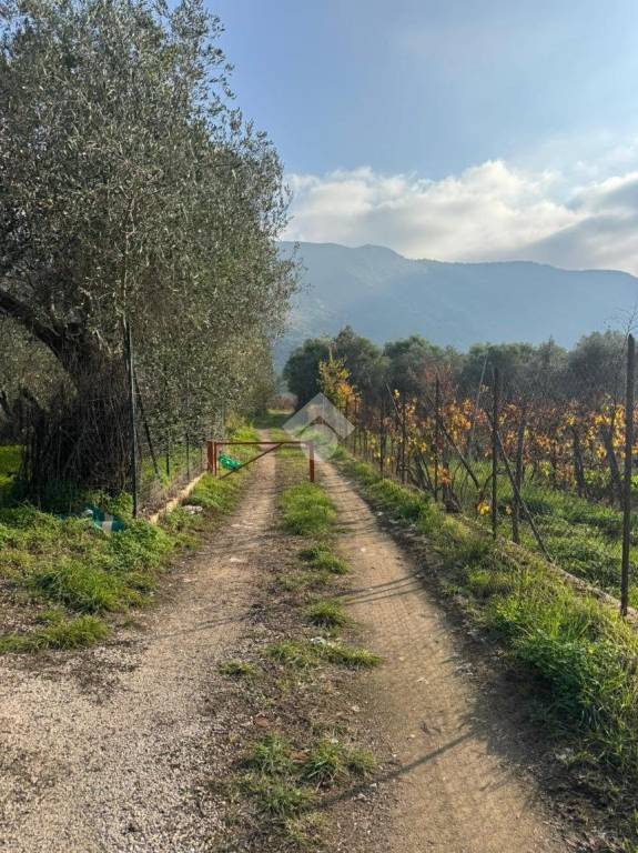 immagine annuncio 7 di 9