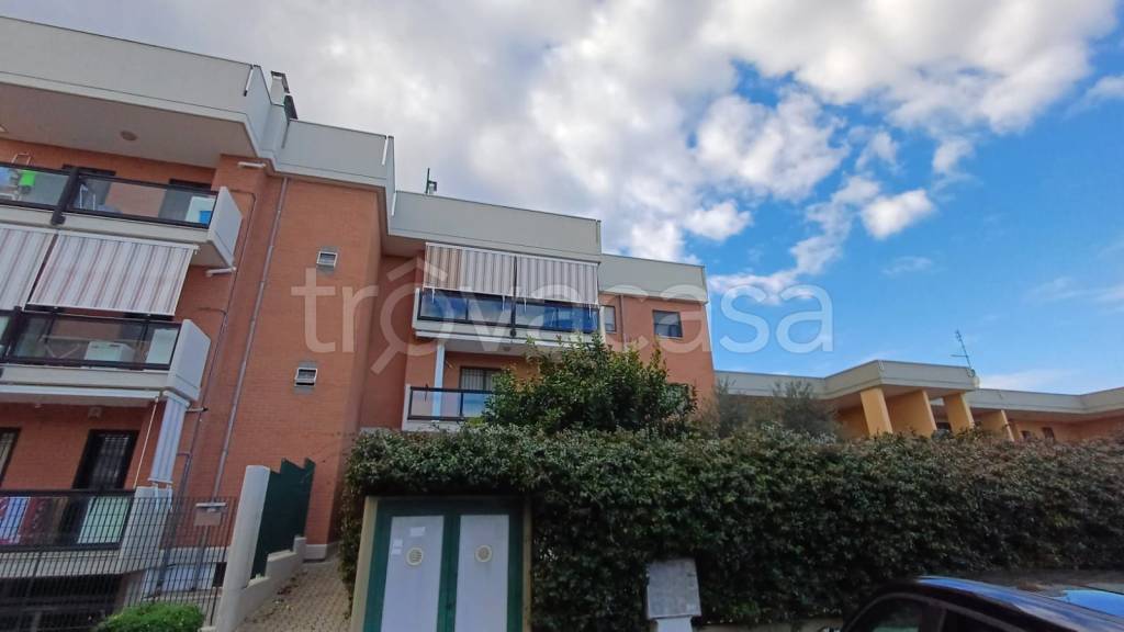 immagine annuncio 1 di 15