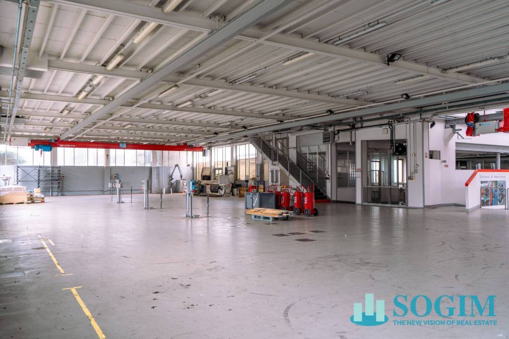 immagine annuncio 9 di 15