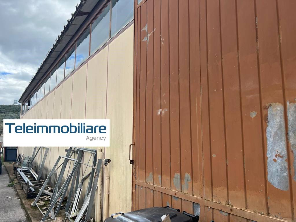 immagine annuncio 7 di 9