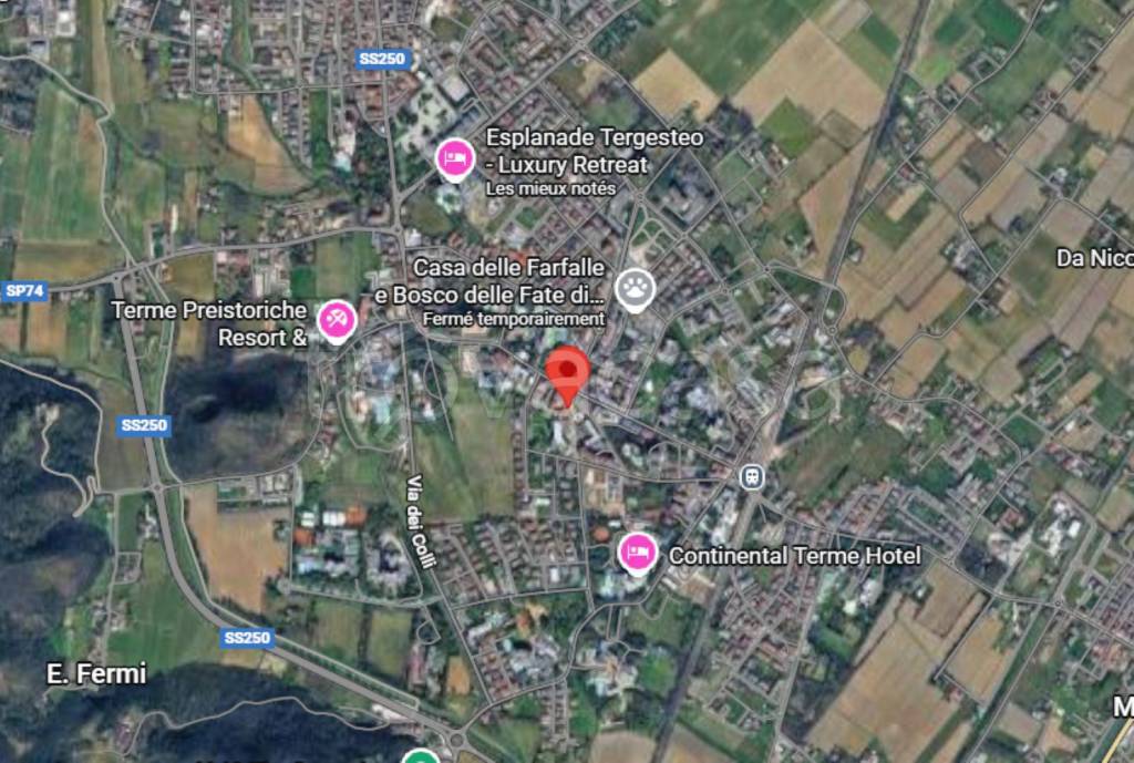 immagine annuncio 3 di 12