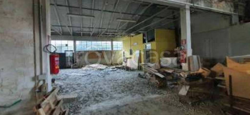 immagine annuncio 9 di 11