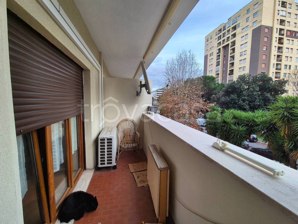 immagine annuncio 11 di 14