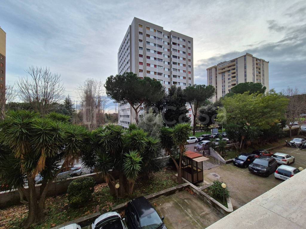 immagine annuncio 12 di 14