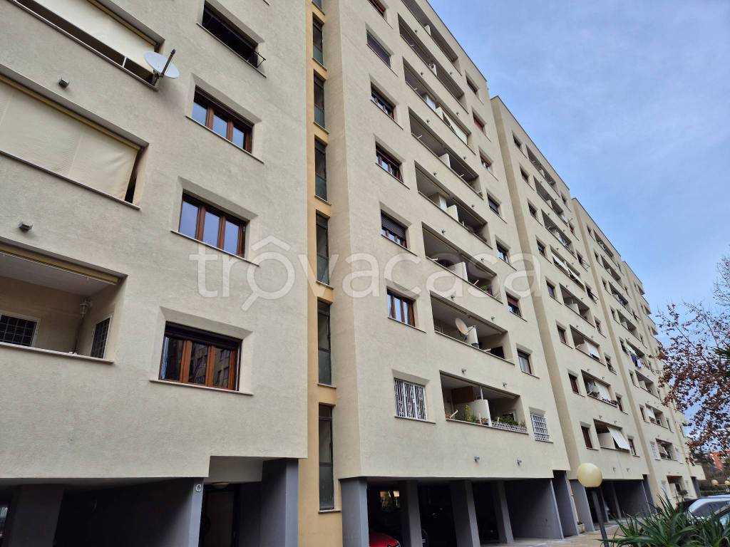 immagine annuncio 13 di 14