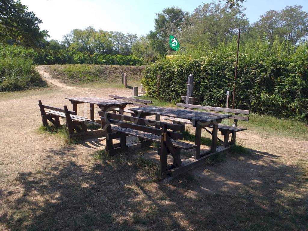 immagine annuncio 6 di 15