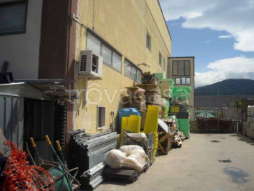 immagine annuncio 3 di 11