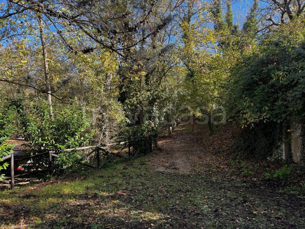 immagine annuncio 1 di 6