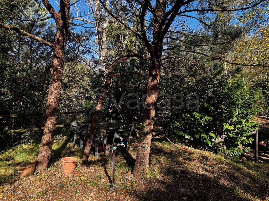 immagine annuncio 2 di 6