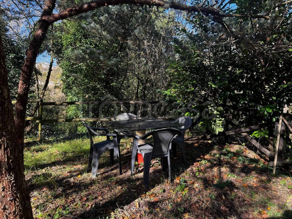 immagine annuncio 3 di 6