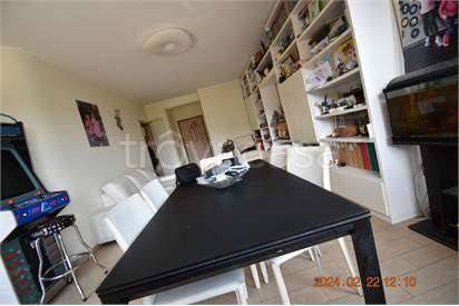 immagine annuncio 4 di 14