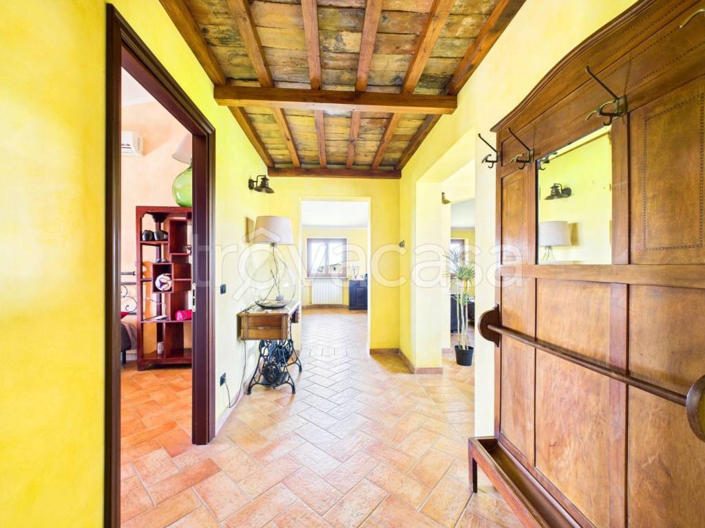 immagine annuncio 9 di 14