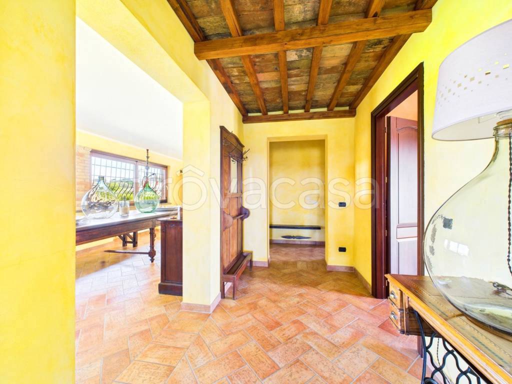 immagine annuncio 11 di 14