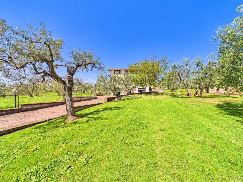 immagine annuncio 13 di 14