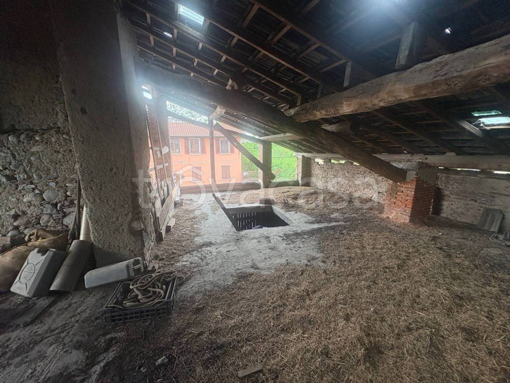 immagine annuncio 12 di 14