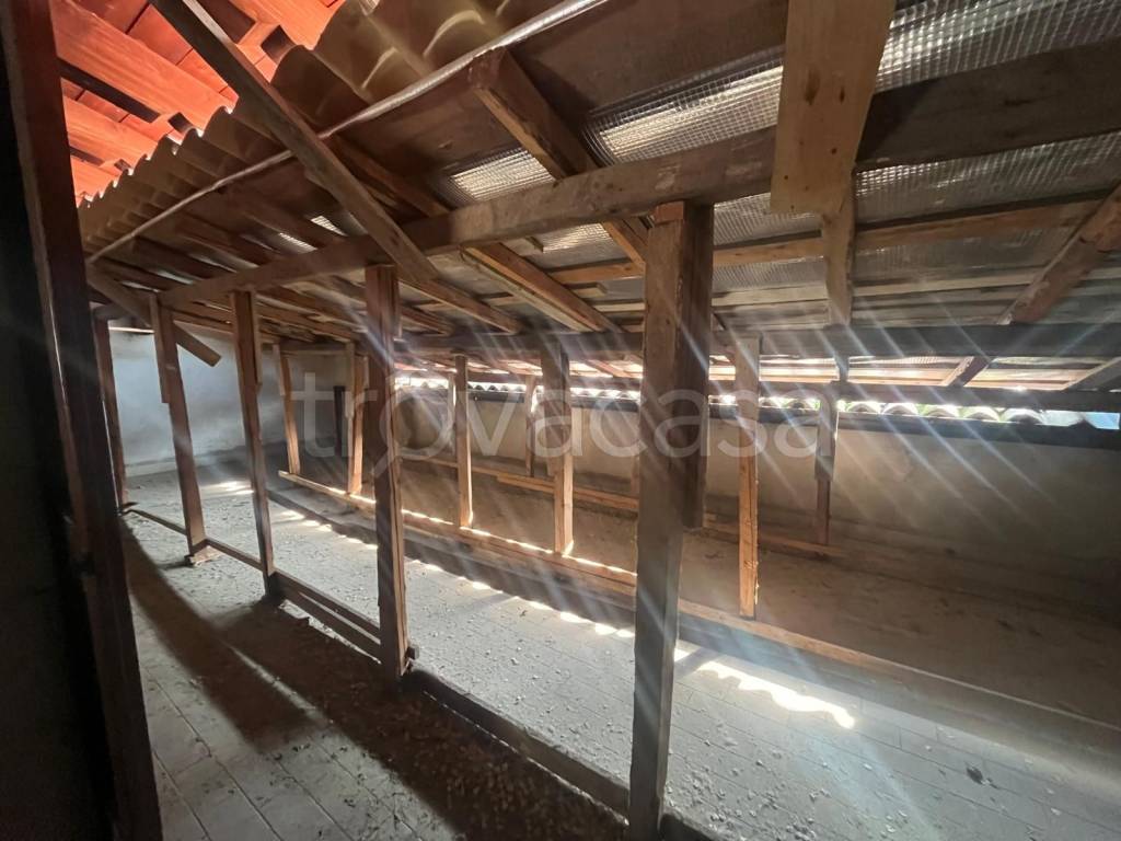 immagine annuncio 6 di 7