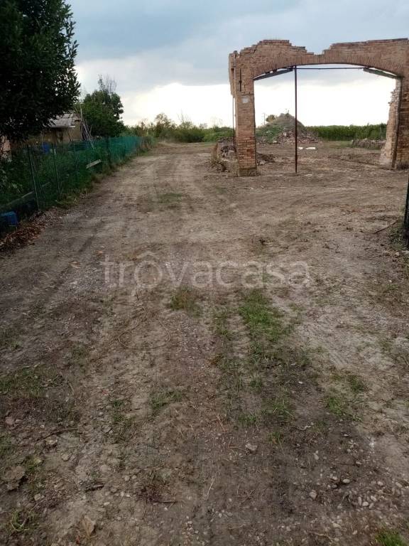 immagine annuncio 4 di 7