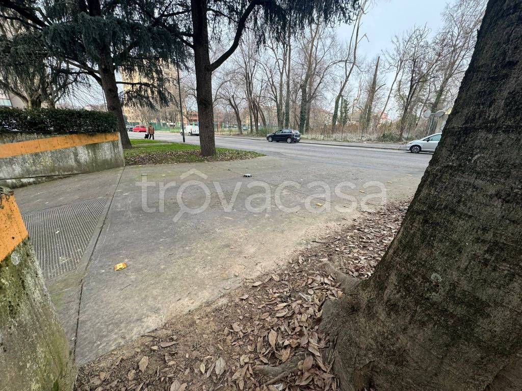 immagine annuncio 2 di 7