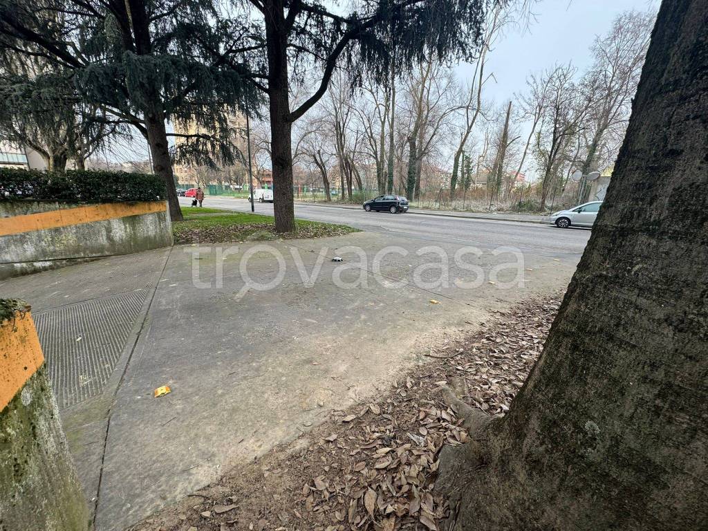 immagine annuncio 5 di 7