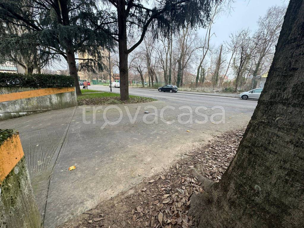 immagine annuncio 6 di 7