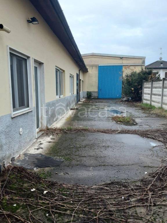 immagine annuncio 2 di 15