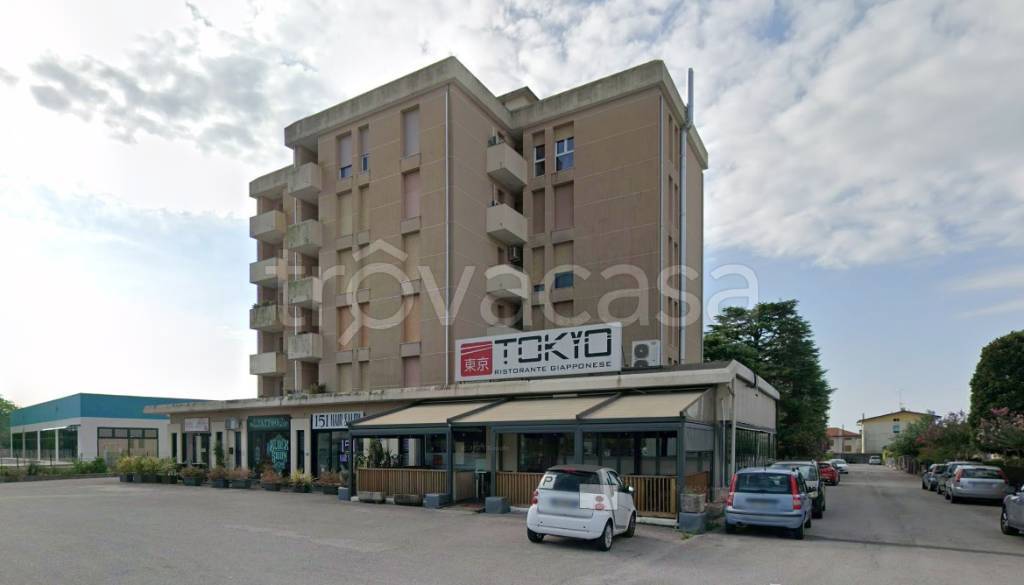 immagine annuncio 1 di 14