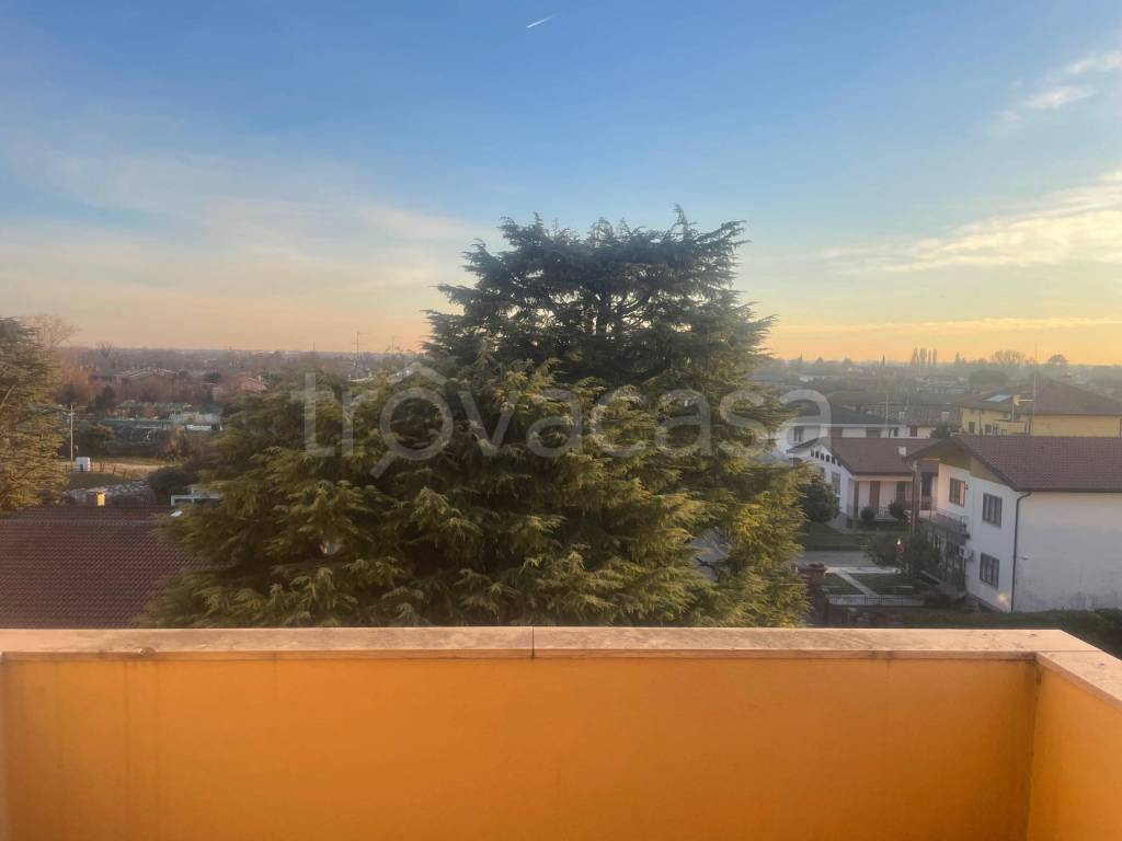 immagine annuncio 13 di 14