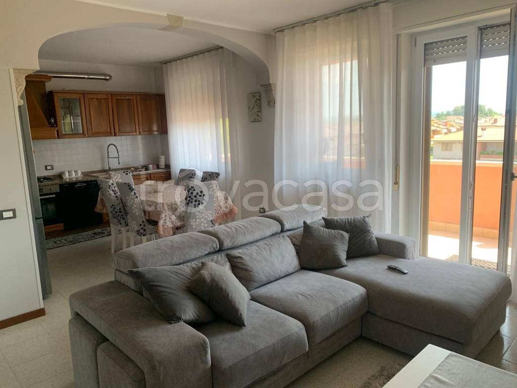 immagine annuncio 1 di 15