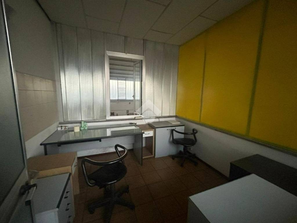 immagine annuncio 5 di 12