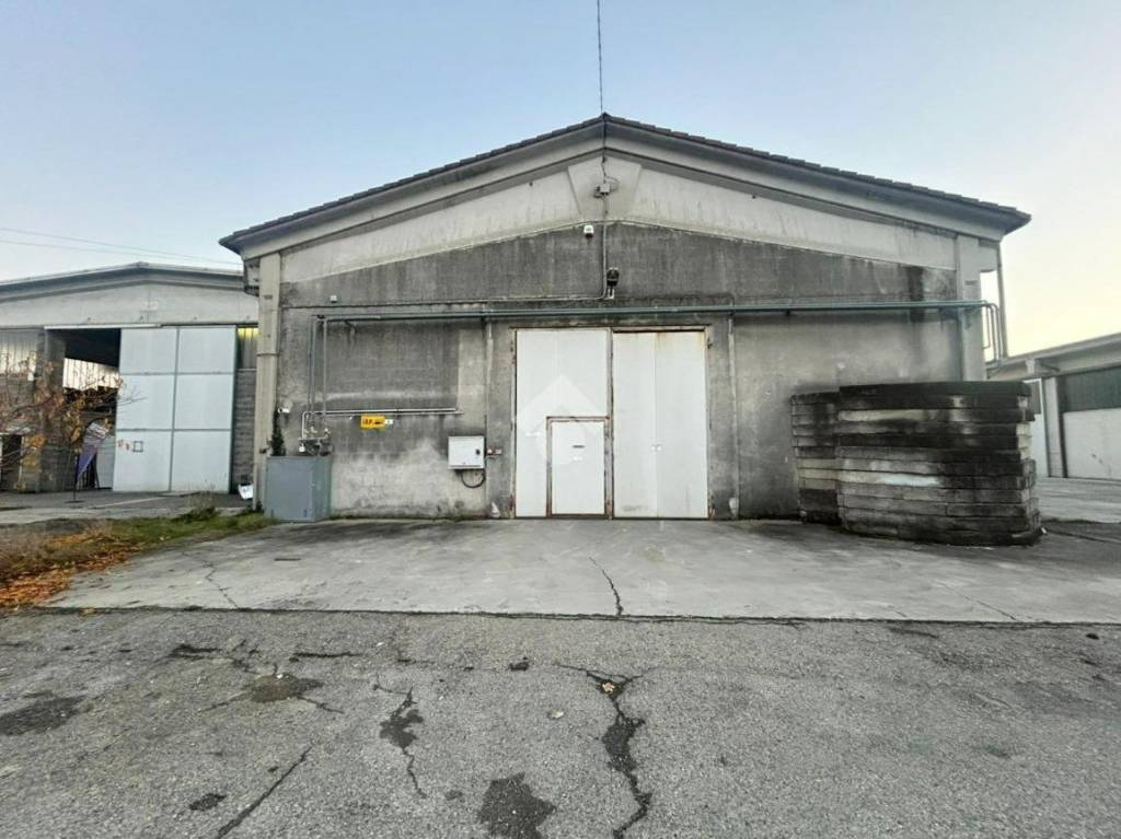 immagine annuncio 7 di 12