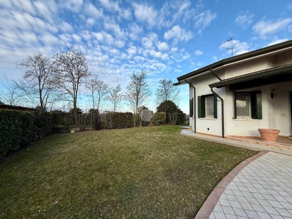 immagine annuncio 4 di 15