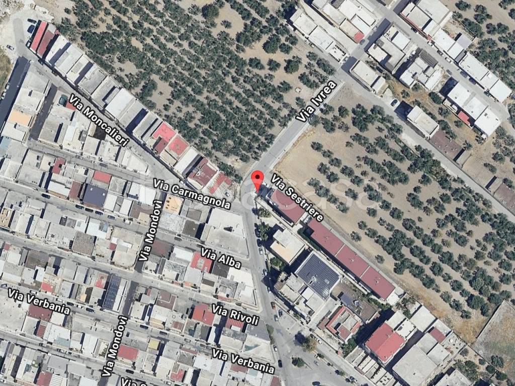 immagine annuncio 1 di 10