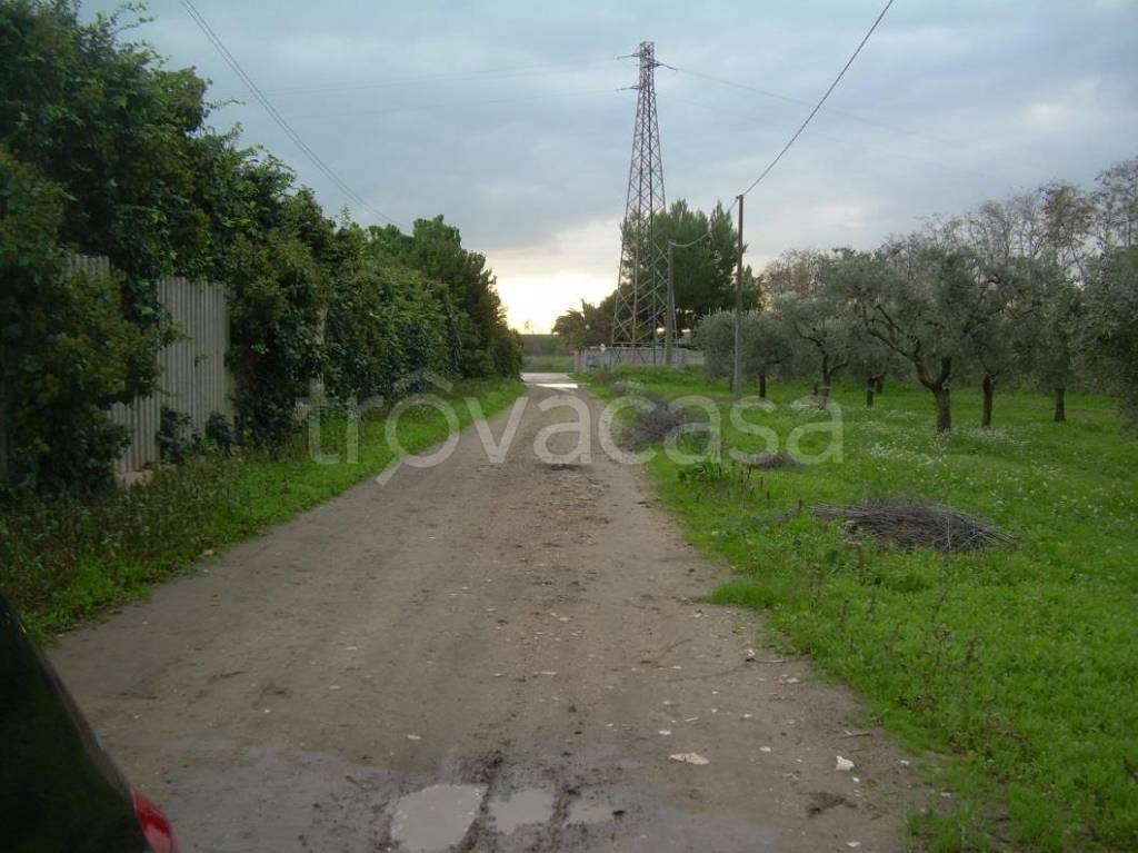 terreno agricolo in vendita a San Severo