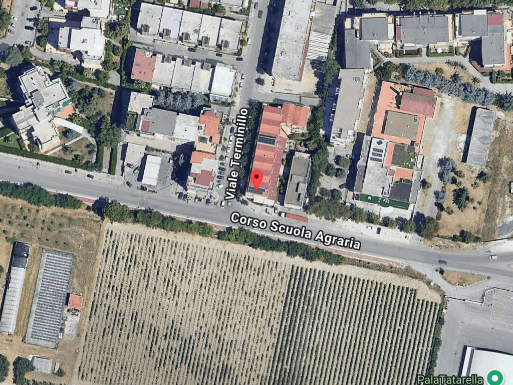 immagine annuncio 1 di 10