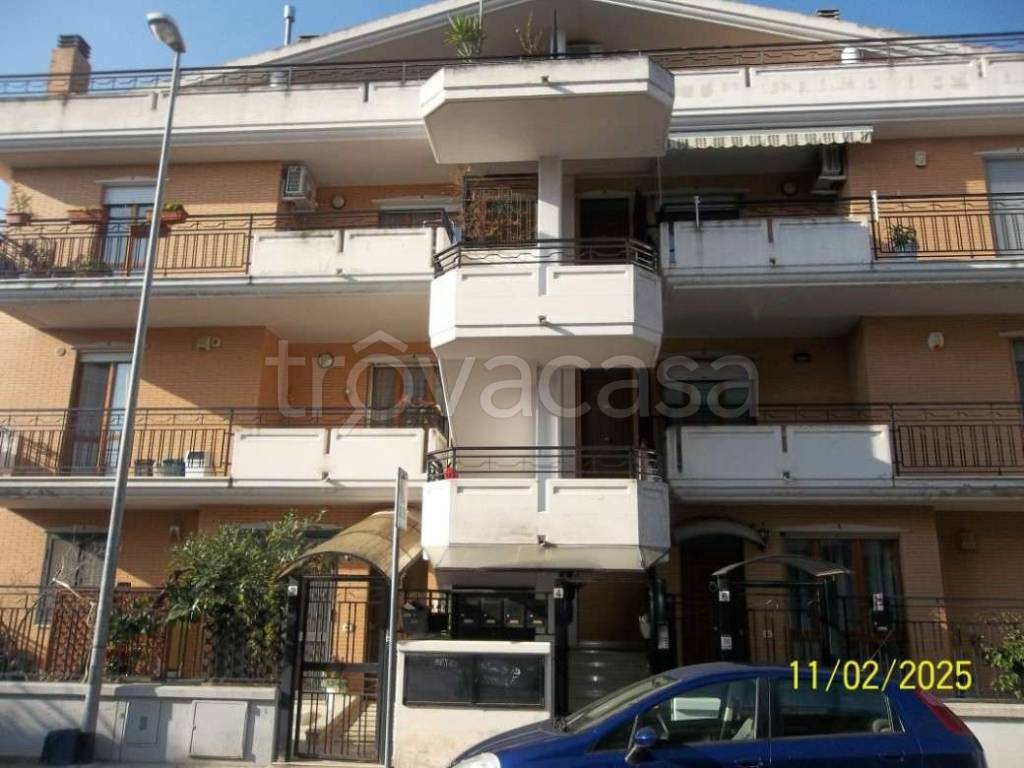 immagine annuncio 1 di 14