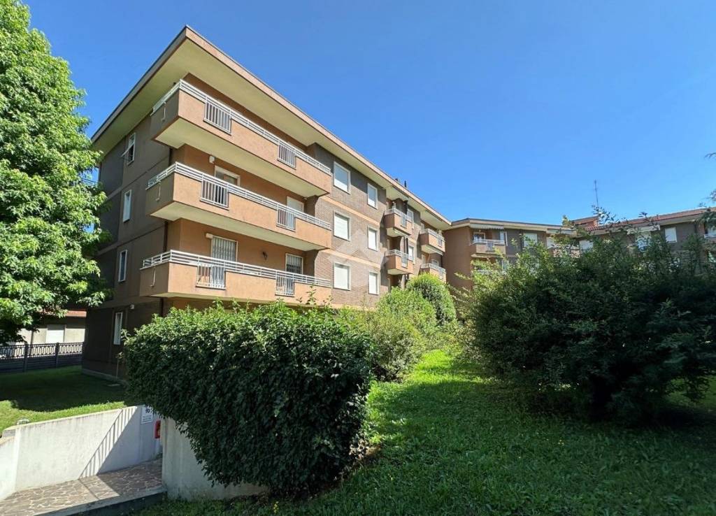 immagine annuncio 7 di 15