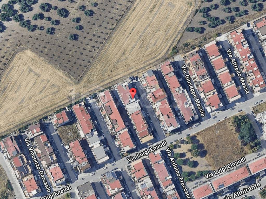 immagine annuncio 10 di 15