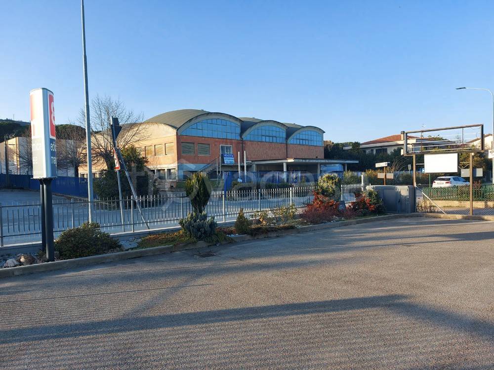 immagine annuncio 1 di 8