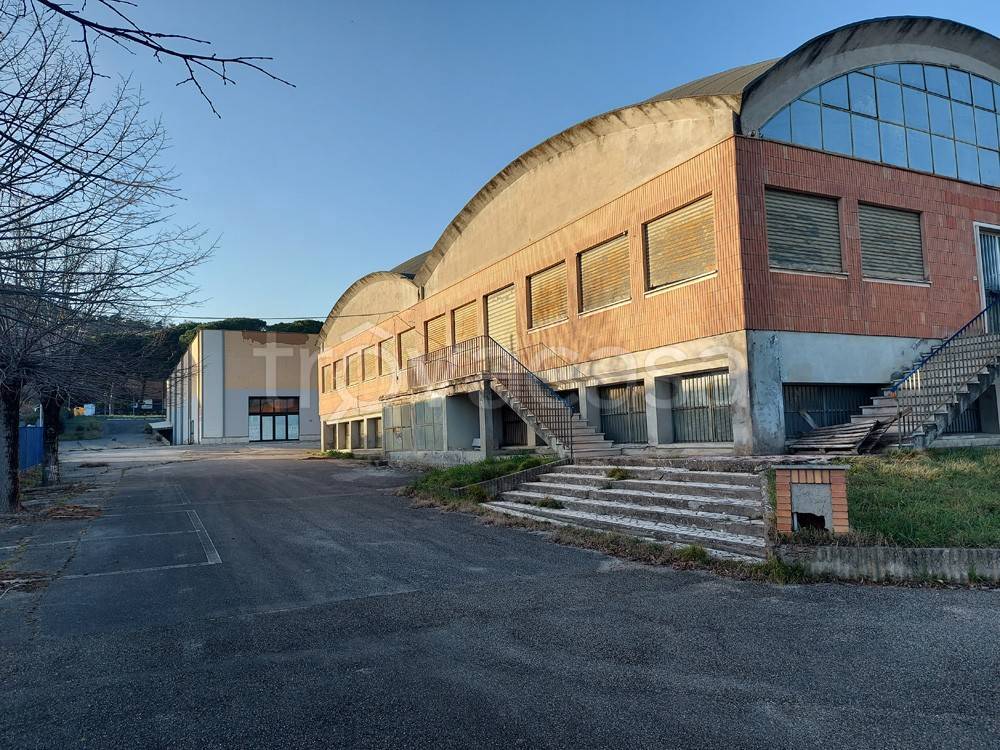 immagine annuncio 2 di 8