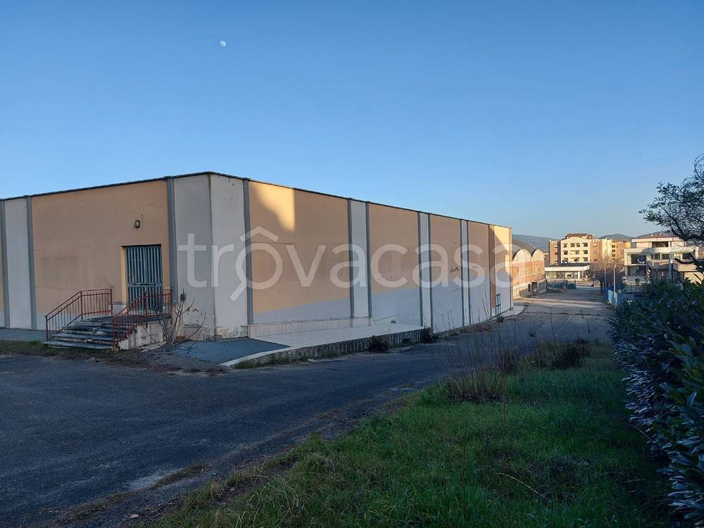 immagine annuncio 3 di 8