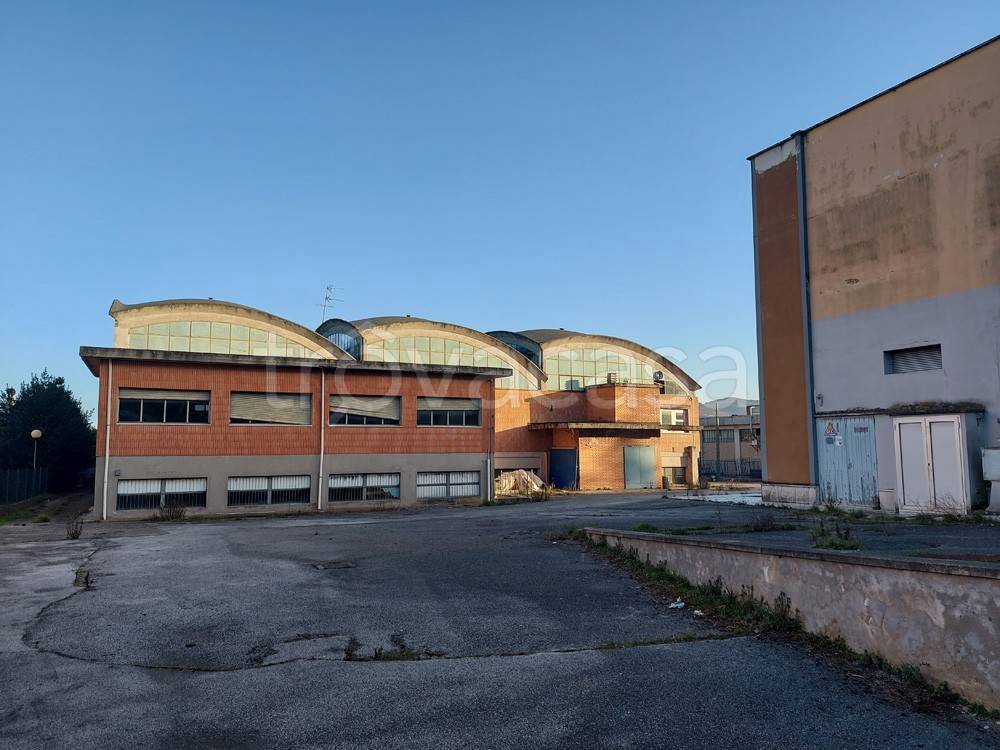 immagine annuncio 5 di 8