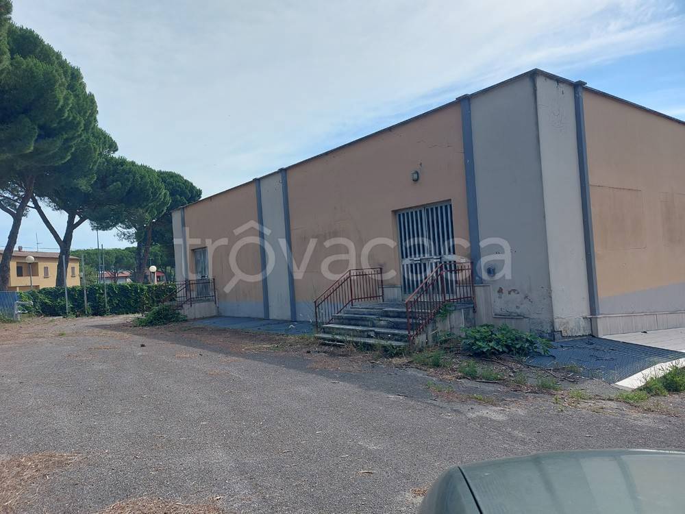 immagine annuncio 7 di 8