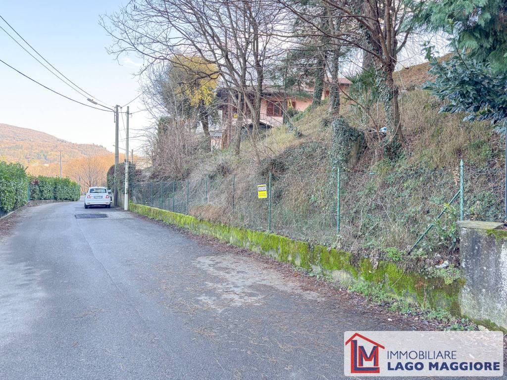 immagine annuncio 3 di 14