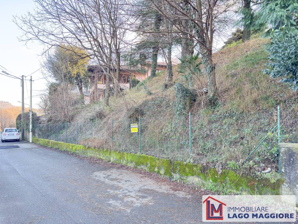 immagine annuncio 4 di 14