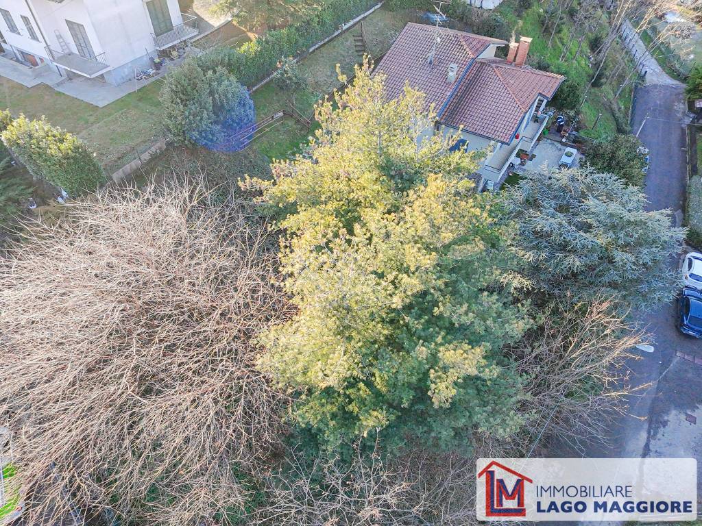 immagine annuncio 6 di 14