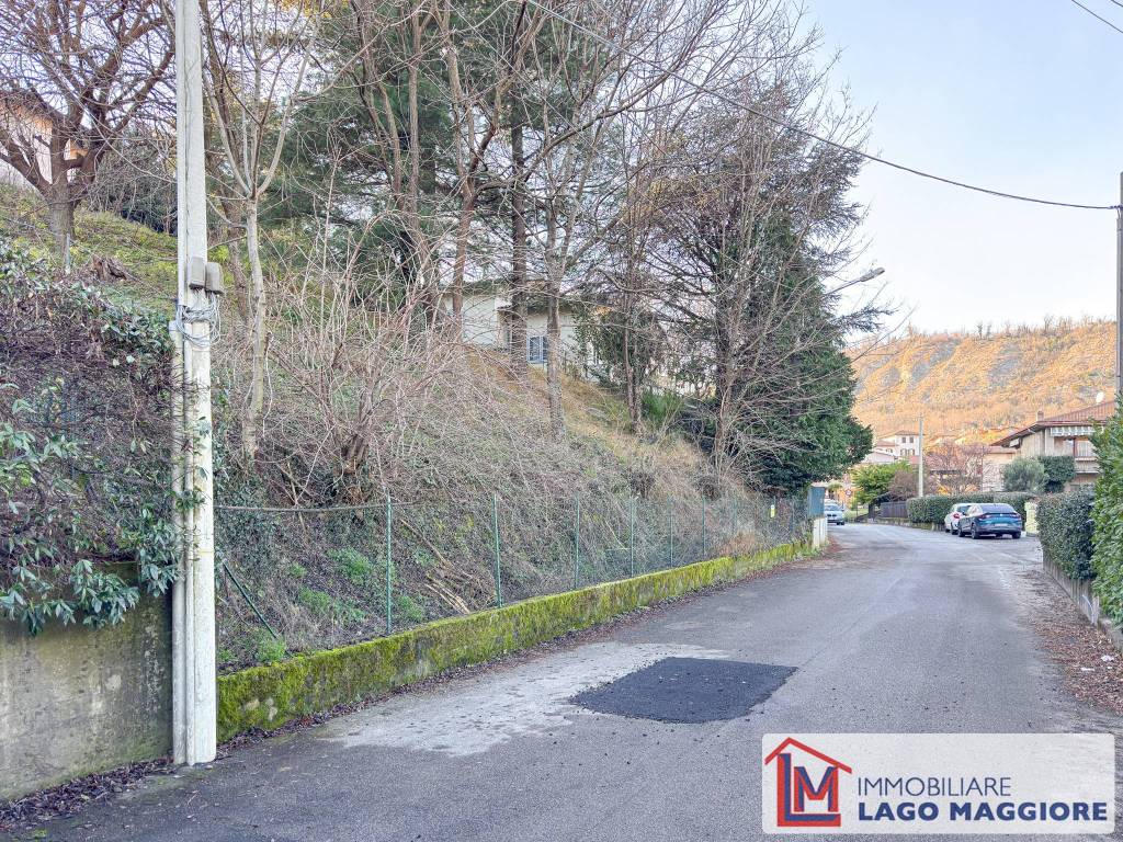 immagine annuncio 11 di 14